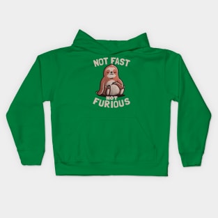 Not Fast Not Furious Lazy Cute Sloth Gift Kids Hoodie